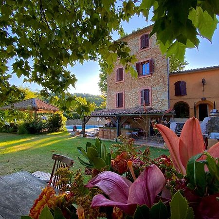 Domaine De Sainte Annette Acomodação com café da manhã Callian  Exterior foto